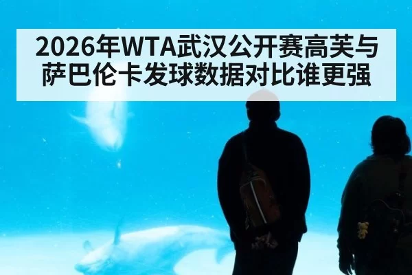 2026年WTA武汉公开赛高芙与萨巴伦卡发球数据对比谁更强